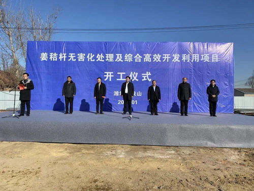 太保庄街道姜秸秆无害化处理及综合高效开发利用项目开工仪式隆重举行，开启农牧业技术开发与服务新篇章